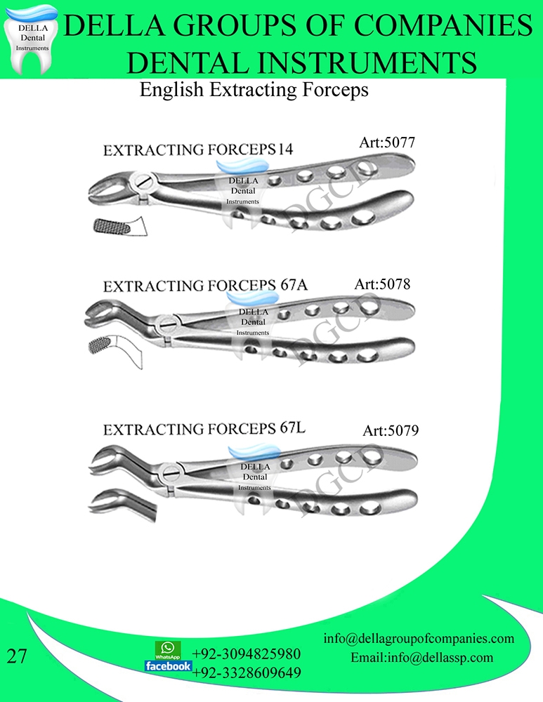 English Extracting Forceps